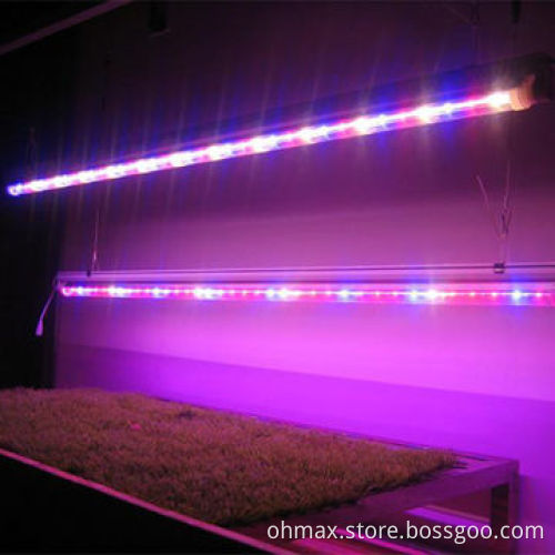 LED grow light, 36W tube, replaces traditional fluorescent tube, for indoor plants growth